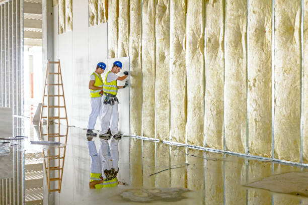 Best Insulation Materials and Products in Cordry Sweetwater Lakes, IN